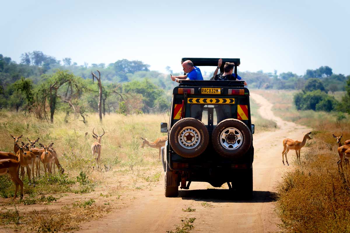 10-days-rwanda-gorilla-wildlife-experience-tour